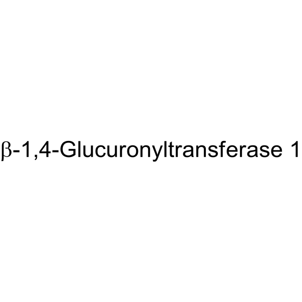 β-1,4-Glucuronyltransferase 1