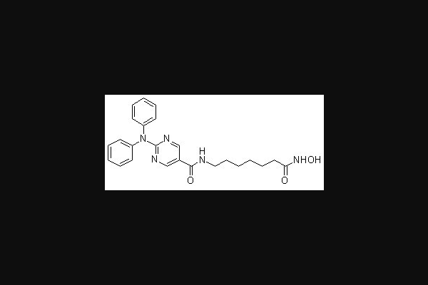Ricolinostat (ACY-1215)