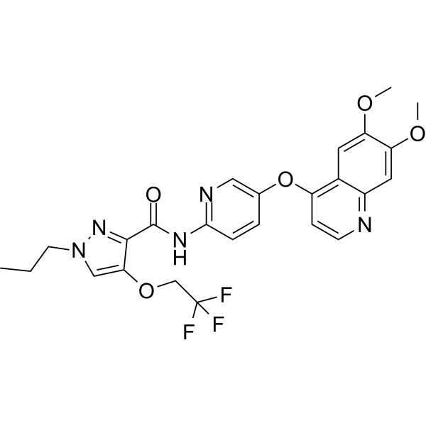 Adrixetinib
