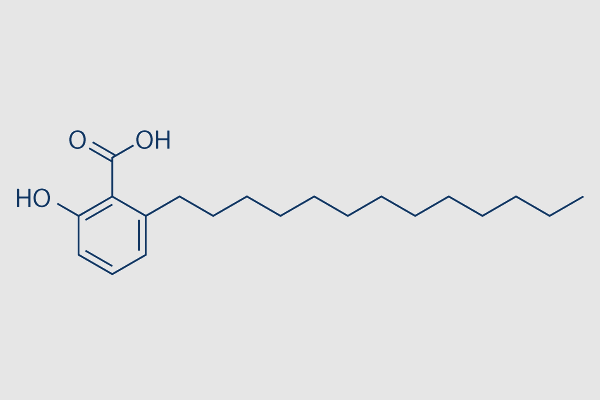 Ginkgolic Acid (C13:0)