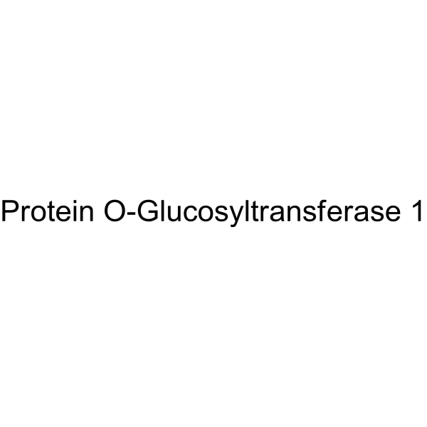 Protein O-Glucosyltransferase 1