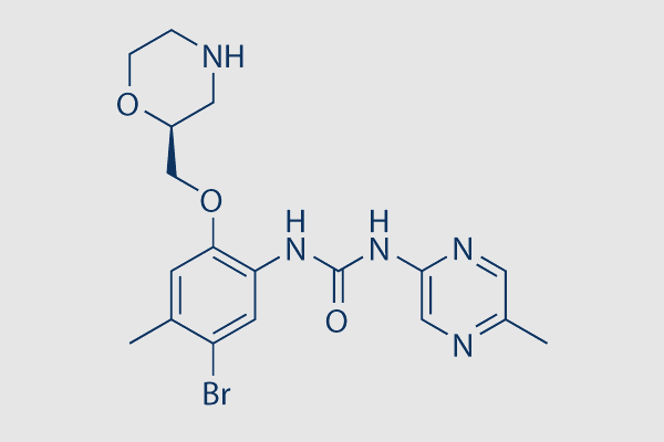 Rabusertib (LY2603618)