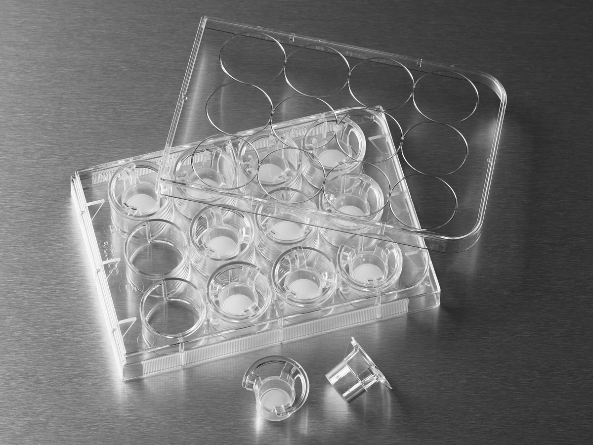 Corning® 12 mm Transwell® with 0.4 µm Pore Polycarbonate Membrane Insert, Sterile