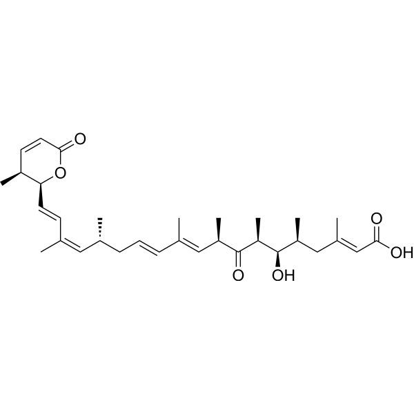 Leptomycin A