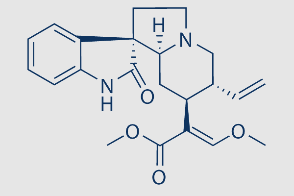 Isocorynoxeine