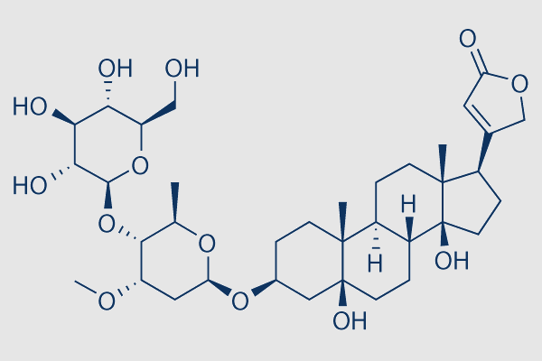 Periplocin