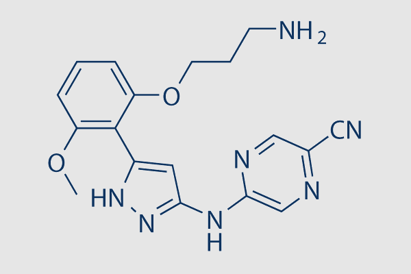 Prexasertib (LY2606368)