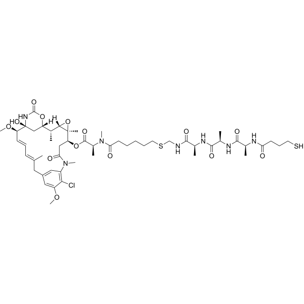 HS-(CH2)3CO-L-Ala-D-Ala-L-Ala-NH-CH2-S-(CH2)5-CO-DM